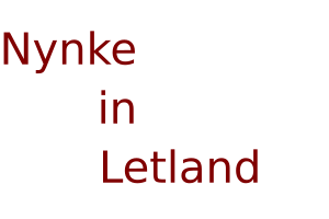 Nynke in Letland Logo